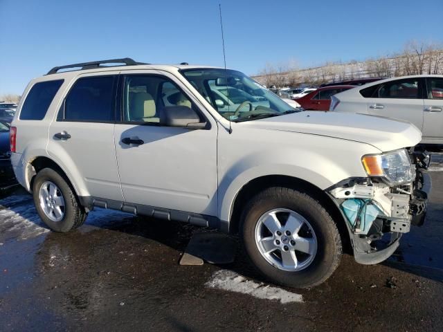 2012 Ford Escape XLT