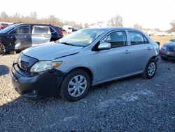 Toyota Corolla salvage cars for sale: 2010 Toyota Corolla Base