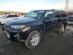 2024 Toyota 4runner SR5/SR5 Premium