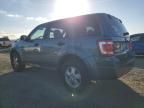 2012 Ford Escape XLS