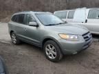 2009 Hyundai Santa FE SE