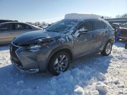 Salvage cars for sale at Wayland, MI auction: 2017 Lexus NX 200T Base