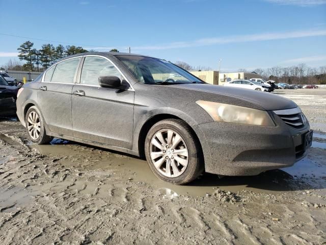 2011 Honda Accord EXL