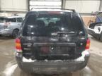 2007 Ford Escape XLT