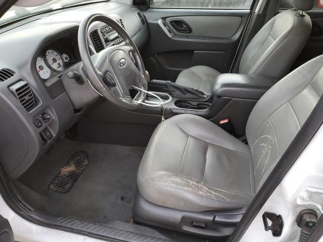 2007 Ford Escape XLT