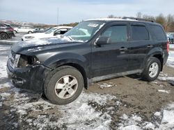 Ford Escape Vehiculos salvage en venta: 2010 Ford Escape XLT