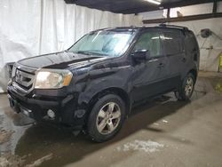 Salvage cars for sale at auction: 2011 Honda Pilot EXL