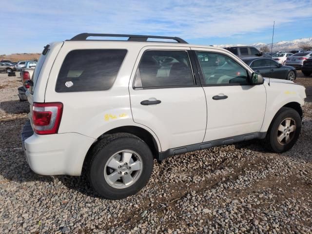 2012 Ford Escape XLT