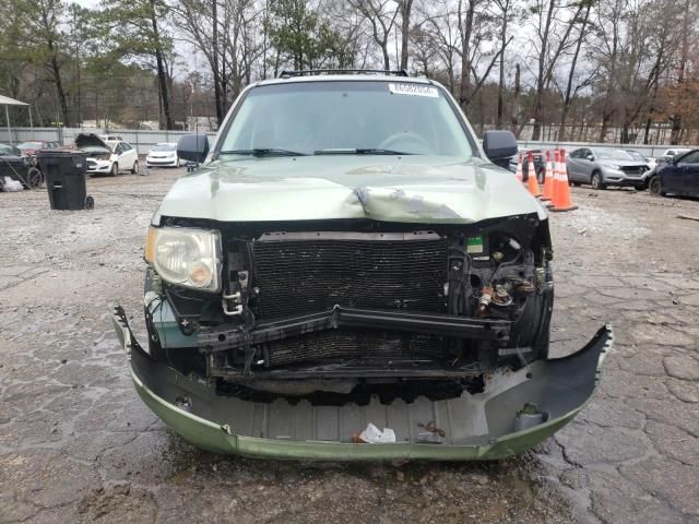 2008 Ford Escape XLT