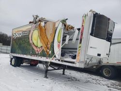 Salvage trucks for sale at Avon, MN auction: 2019 Great Dane Reefer