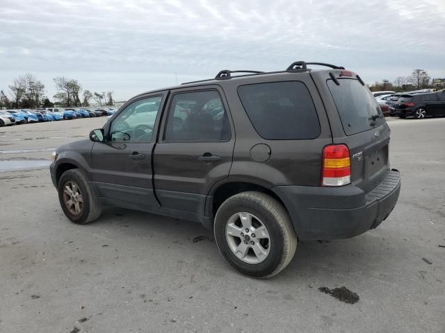 2007 Ford Escape XLT