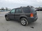 2007 Ford Escape XLT