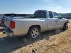 2010 Dodge Dakota SXT