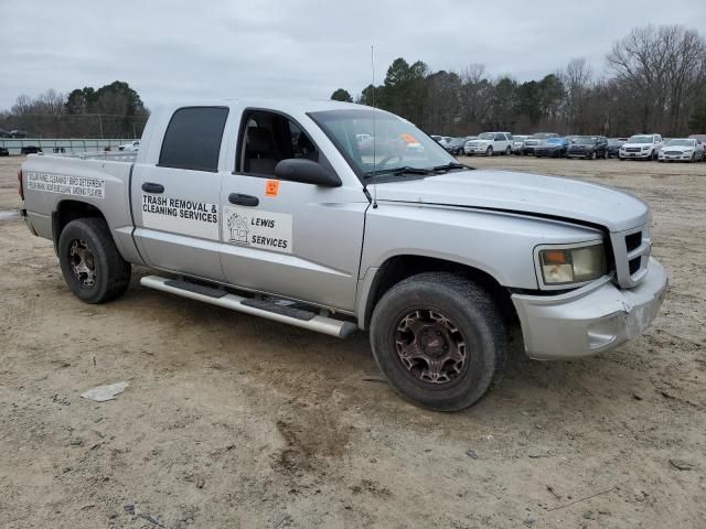 2010 Dodge Dakota SXT