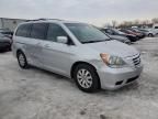 2010 Honda Odyssey EXL