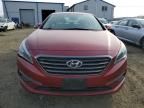 2015 Hyundai Sonata ECO