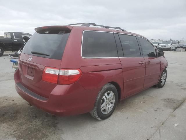 2006 Honda Odyssey EXL