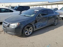 Chevrolet Malibu 1lt Vehiculos salvage en venta: 2009 Chevrolet Malibu 1LT