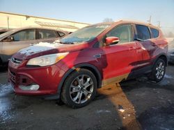 Ford Escape salvage cars for sale: 2015 Ford Escape Titanium