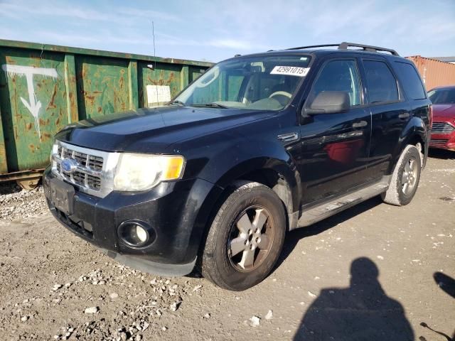 2011 Ford Escape XLT