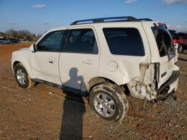 2010 Ford Escape Limited