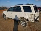 2010 Ford Escape Limited