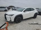 2020 Lexus UX 200