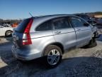 2010 Honda CR-V EXL