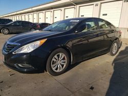 Salvage cars for sale at Louisville, KY auction: 2013 Hyundai Sonata GLS