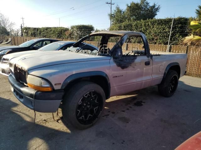 2000 Dodge Dakota