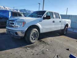 Ford Vehiculos salvage en venta: 2013 Ford F150 Supercrew