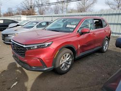 Honda crv salvage cars for sale: 2023 Honda CR-V EXL