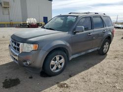 2010 Ford Escape Limited en venta en Tucson, AZ