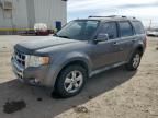 2010 Ford Escape Limited