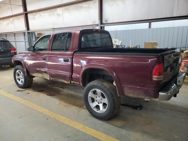 2001 Dodge Dakota Quattro