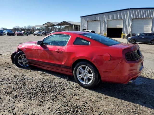 2013 Ford Mustang