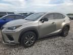 2020 Lexus NX 300 F Sport