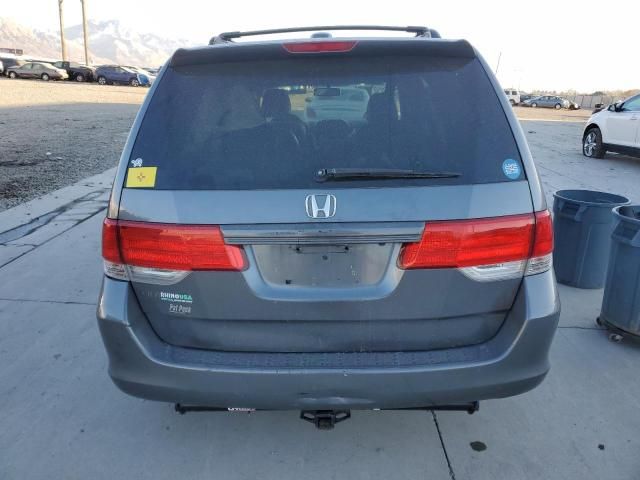 2010 Honda Odyssey EXL