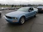 2005 Ford Mustang