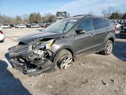 Ford Escape sel salvage cars for sale: 2013 Ford Escape SEL