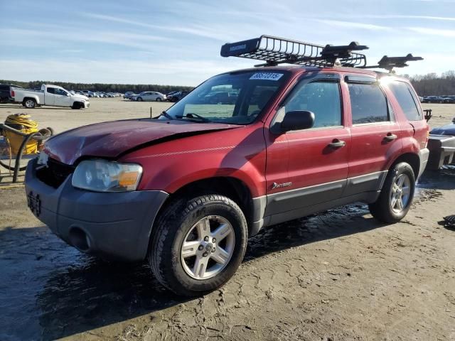 2006 Ford Escape HEV