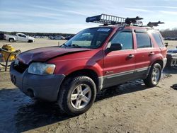 Vehiculos salvage en venta de Copart Spartanburg, SC: 2006 Ford Escape HEV