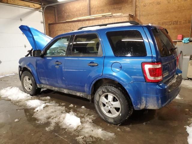 2011 Ford Escape XLT