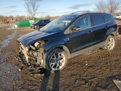 Ford Vehiculos salvage en venta: 2016 Ford Escape Titanium