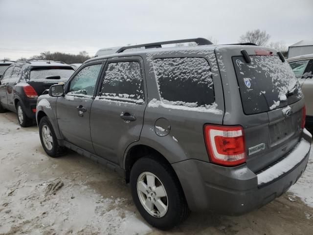 2012 Ford Escape XLT