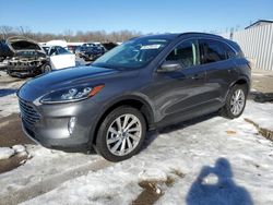 Salvage cars for sale at Louisville, KY auction: 2022 Ford Escape Titanium