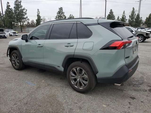 2023 Toyota Rav4 XLE Premium