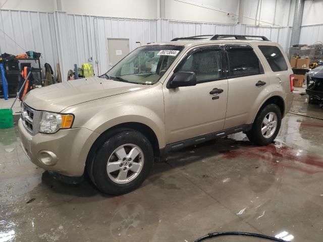 2010 Ford Escape XLT