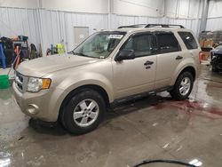 Salvage cars for sale at Wayland, MI auction: 2010 Ford Escape XLT