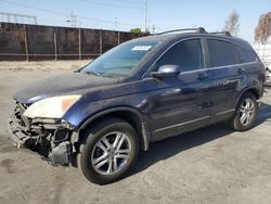 Salvage cars for sale from Copart Wilmington, CA: 2010 Honda CR-V EXL